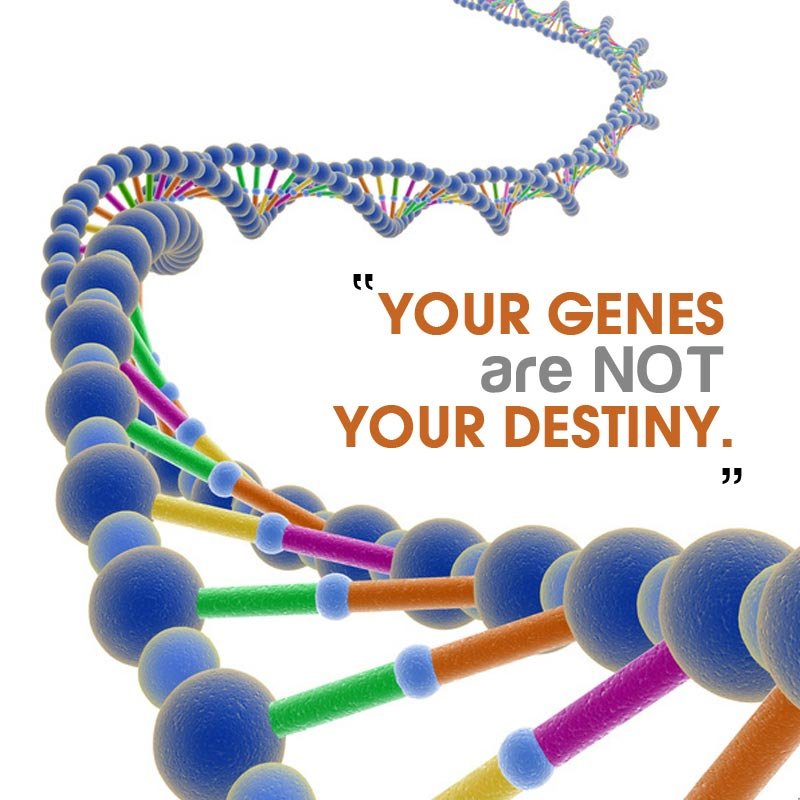 genetics is not destiny